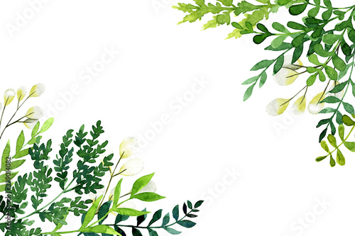 Corner botanical background, greenery with leaves and branches