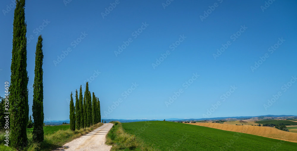 Fototapeta premium Landscape with a cypresses and rural path in Tuscany, Italy.