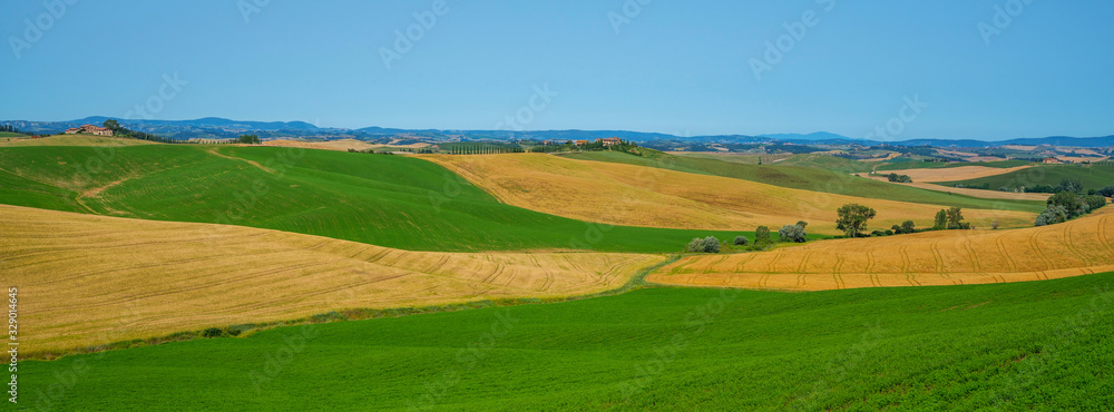 View of a sunny day in the Italian rural landscape. Unique Tuscany landscape in summer time. Wave hills, colorful fields, cypresses trees and sky.