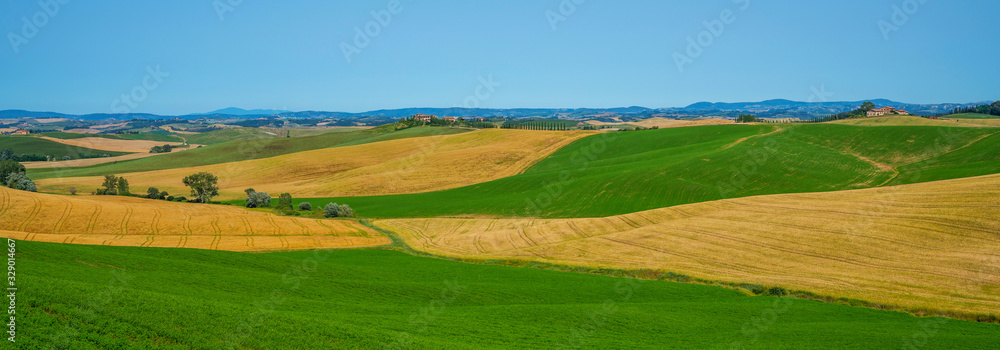 Obraz premium View of a sunny day in the Italian rural landscape. Unique Tuscany landscape in summer time. Wave hills, colorful fields, cypresses trees and sky.