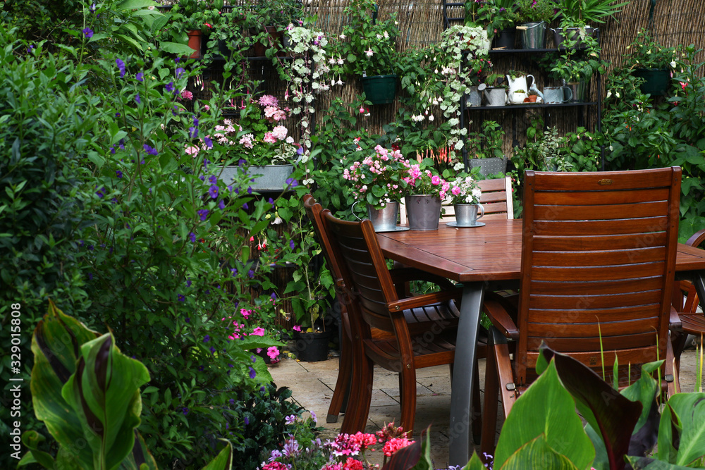 Cosy Little Patio area in the garden with wooden seating area and lots of green plants in planters such a Canna, fuchsias and succulents in shabby chic pots Cosy Little Patio area in the garden with wooden seating area and lots of green plants in planters such a Canna, fuchsias and succulents in shabby chic pots
