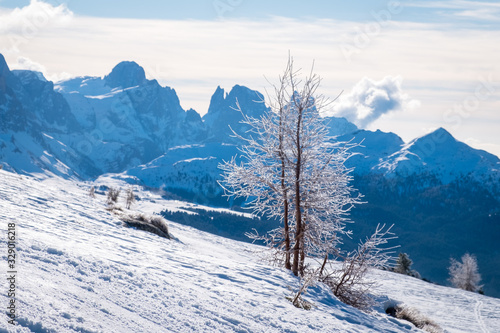 Sunny winter landscape at Ski Area in Dolomites, Italy - Alpe Lusia. Ski resort in val di Fassa near Moena © Alexey Oblov