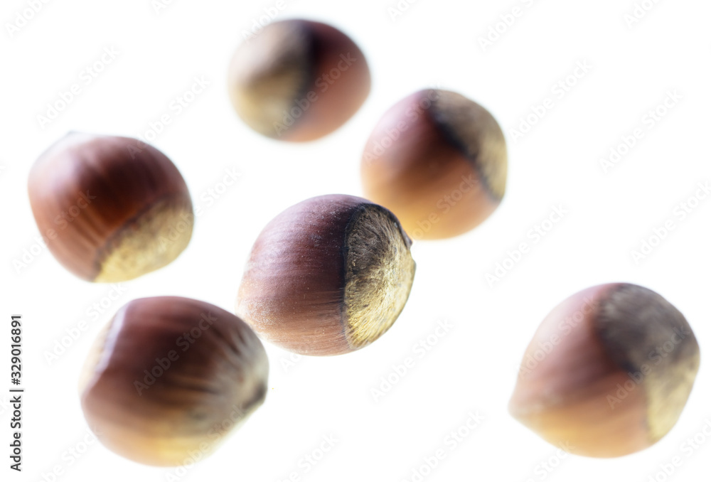 Hazelnuts nuts isolated on a white background Hazelnuts nuts isolated on a white background