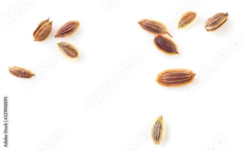 Dill seeds isolated on a white background