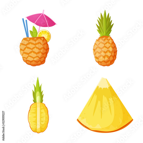 Isolated object of pineapple and fruit symbol. Set of pineapple and food vector icon for stock.