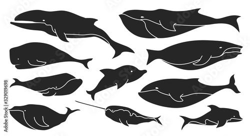 Sea whale vector Black set icon.Vector illustration marine animal of whale.Isolated Black icon of sea animal on white background.