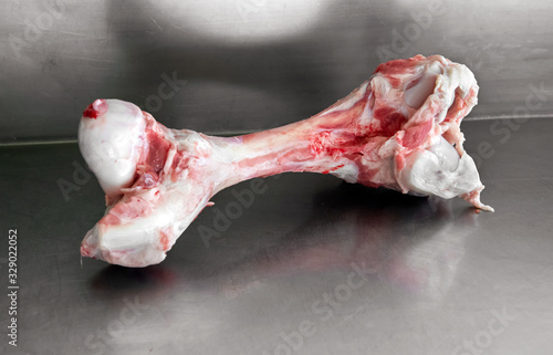 Fotografia Trimmed raw calf femur on a metal counter