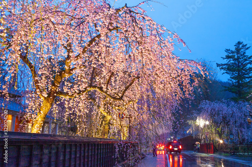 角館の武家屋敷通りの桜のライトアップ photo