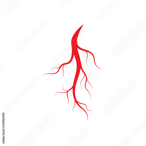 Human veins and arteries illustration design