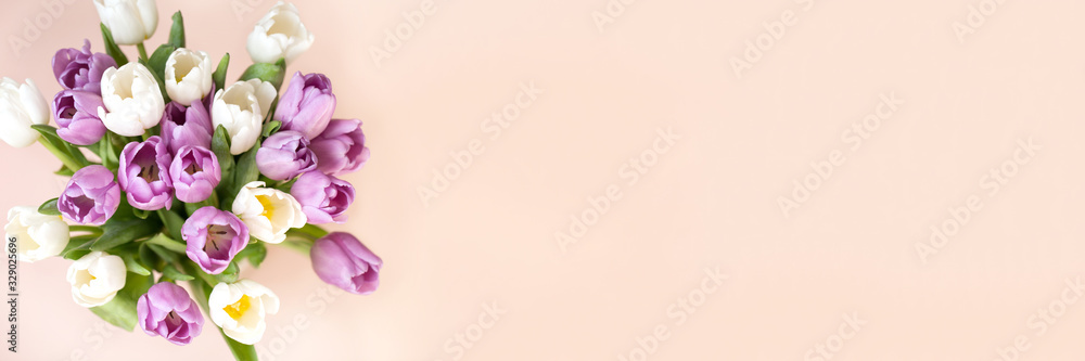 Purple tulips on the beige background with copyspace