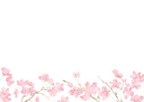 満開の桜の花フレーム01/イラスト素材/背景素材/夜桜