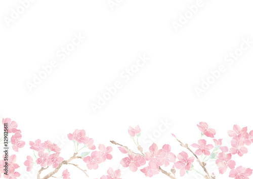 満開の桜の花フレーム01/イラスト素材/背景素材/夜桜 © mogumogu