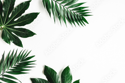 Fototapeta Naklejka Na Ścianę i Meble -  Summer composition. Tropical leaves on white background. Summer concept. Flat lay, top view, copy space
