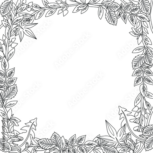  frame leaves linear lace pattern lined doodle coloring book page black and white background art therapy relax psychology 