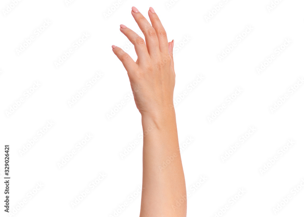 Female hand with manicure, isolated on white background. Beautiful hand of woman with copy space. Female hand with manicure, isolated on white background. Beautiful hand of woman with copy space.