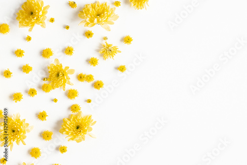 Flowers composition. Yellow chrysanthemum flowers on white background. Flat lay, top view © Flaffy