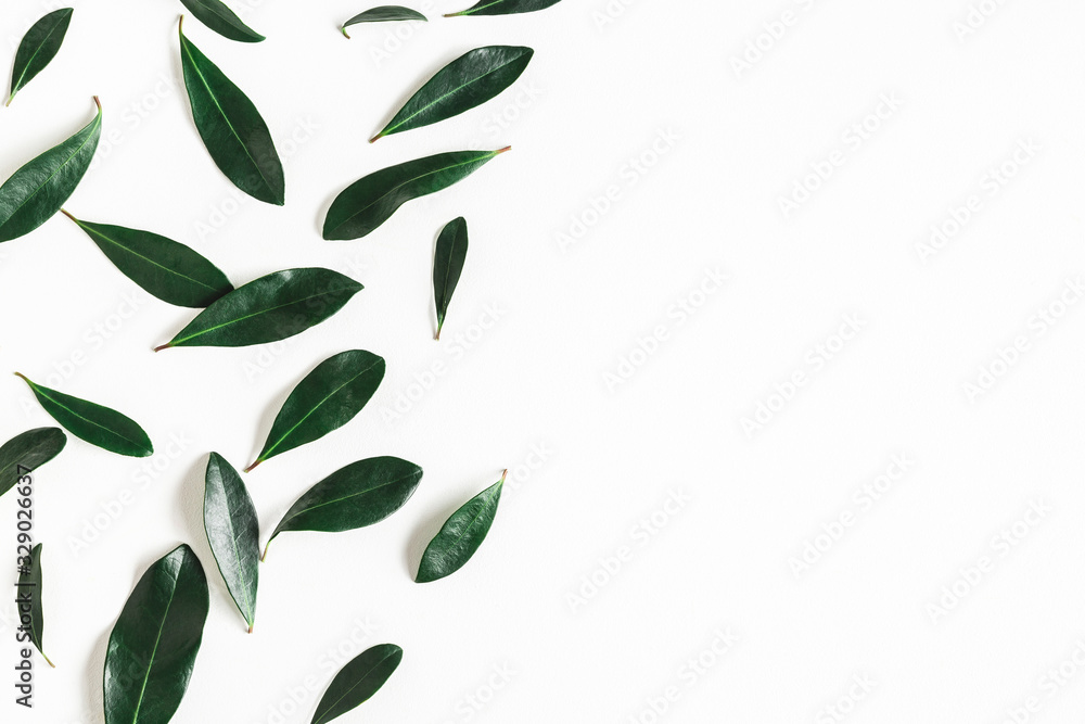 Green tropical leaves on white background. Summer concept. Flat lay, top view - obrazy, fototapety, plakaty 