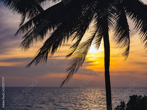 Coconut Tree Sunset Beach Vacation Outdoor Summer holiday Background