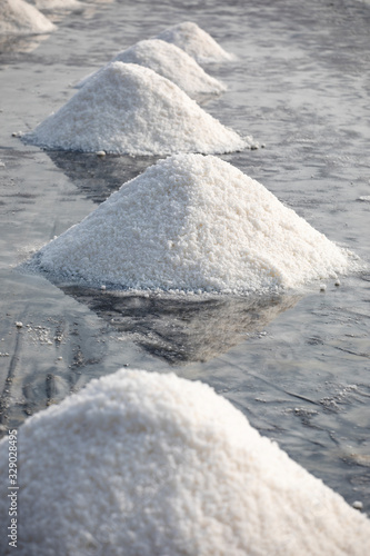 Piles of freshly harvested salt. Salt plains at Can Gio near Ho Chi Minh City in Vietnam photo