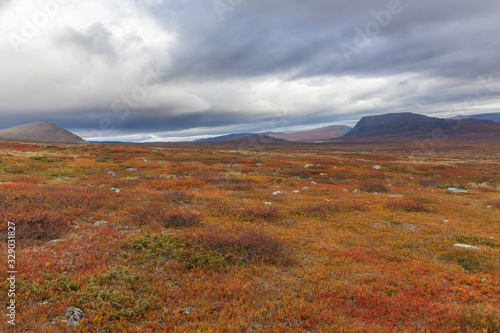 autumn view of Sarek National Park, Lapland, Norrbotten County, Sweden, near border of Finland, Sweden and Norway. selective focus © Tatiana