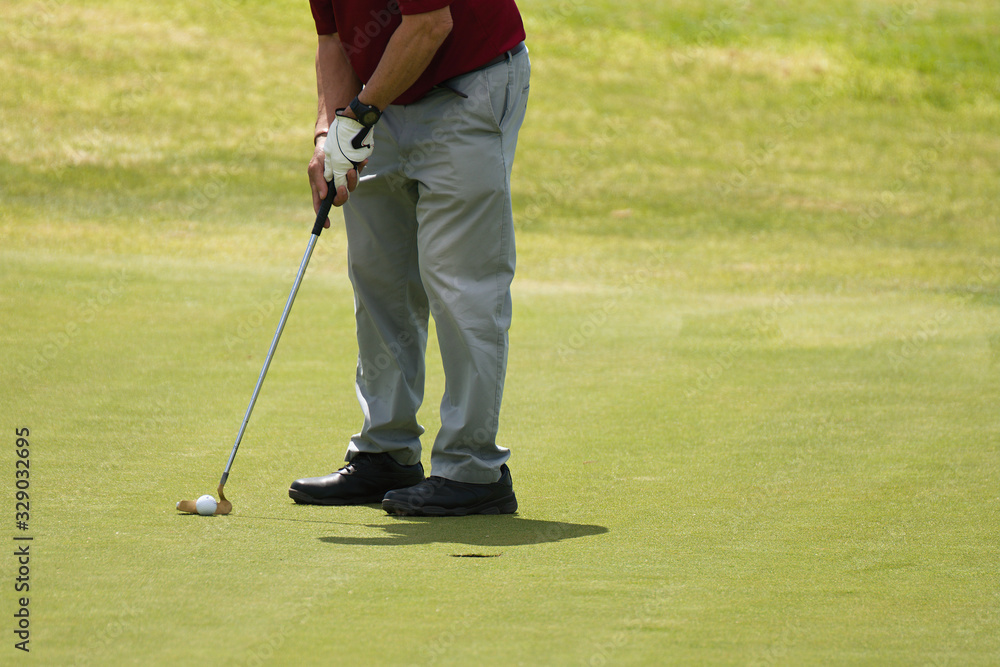 Fototapeta premium Playing golf preparing to shot,man putting on green 