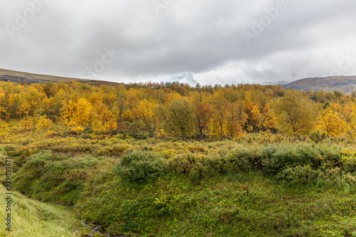 Sarek National Park in Lapland view from the mountain  autumn  Sweden  selective focus