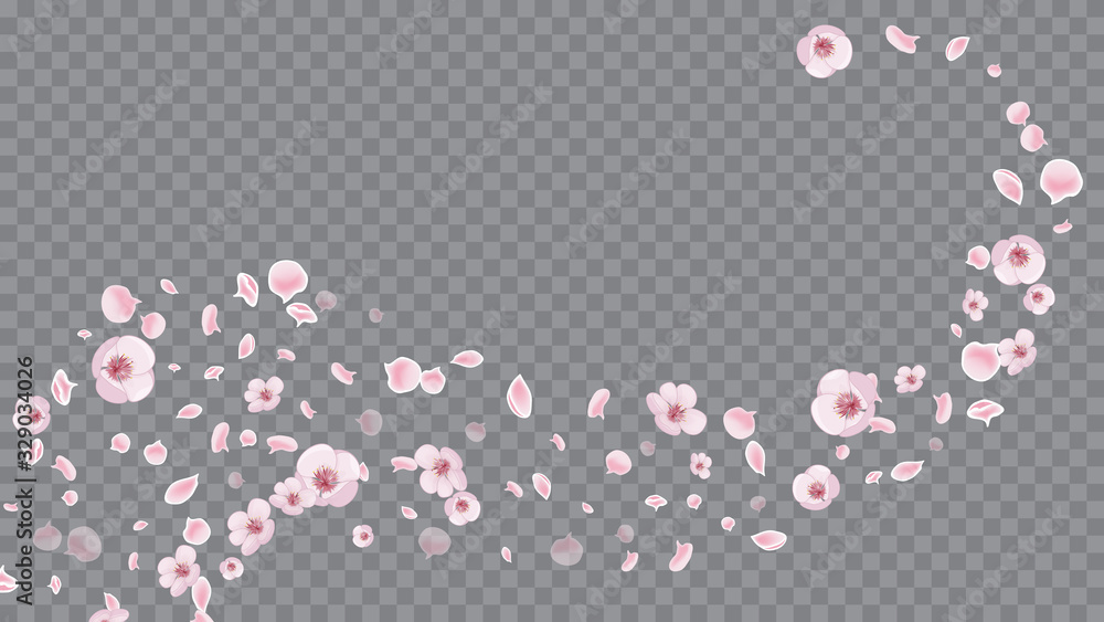 Rose on Transparent. Realistic Flying Petals For Banner Design. Spring Flowers Blooming. Modern Closeup For Concept Design.