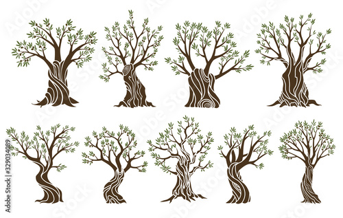 Set of beautiful magnificent olive trees silhouette isolated on white background. Premium quality illustration logo concepts. Elegant olive tree isolated icons