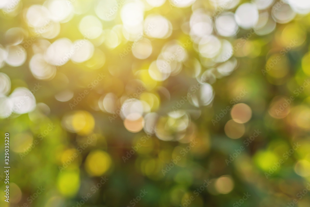 Green bokeh on a blurred background Natural green bokeh from leaves Green bokeh on a blurred background Natural green bokeh from leaves