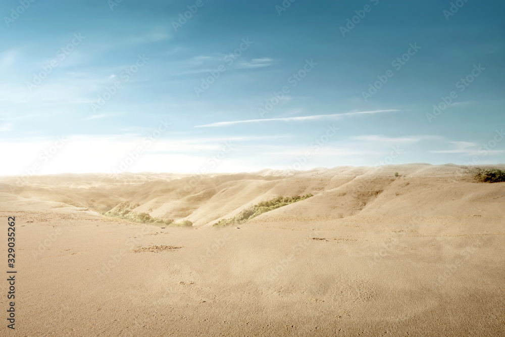 Views of sand dune Views of sand dune