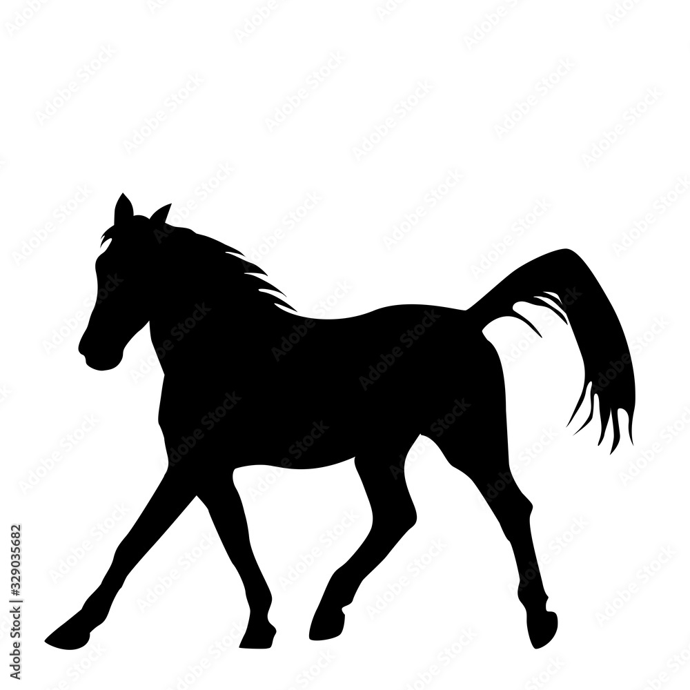 Black silhouette of horse isolated on white background Black silhouette of horse isolated on white background