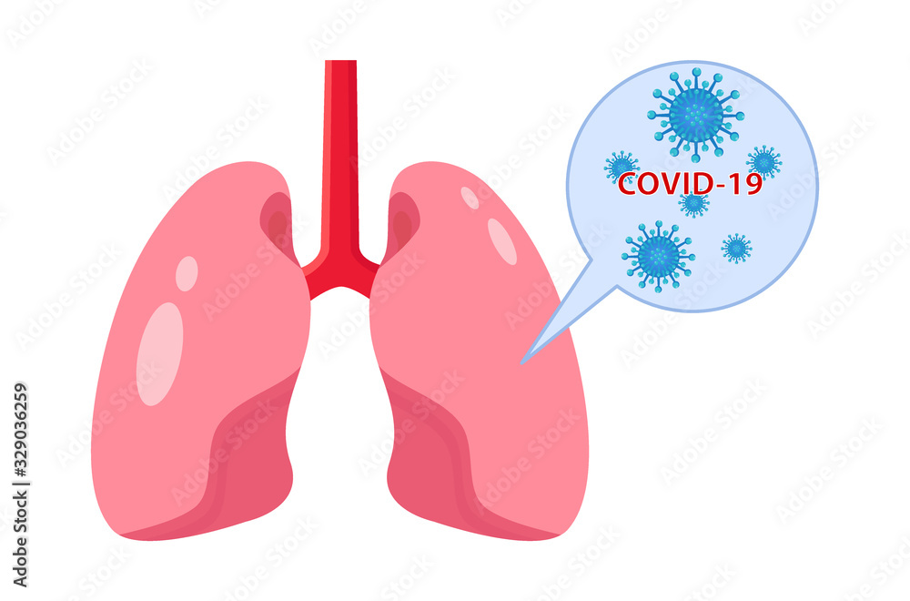 Covid-19 corona virus or 2019-ncov virus affects lung damage. The picture shows the lungs and the Covid-19 virus. Covid-19 corona virus or 2019-ncov virus affects lung damage. The picture shows the lungs and the Covid-19 virus.