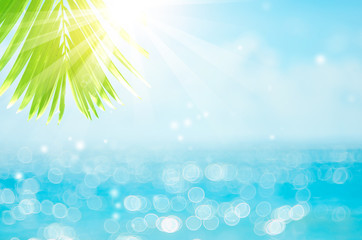 Blur beautiful nature green palm leaf on tropical beach with bokeh sun light wave abstract background.
