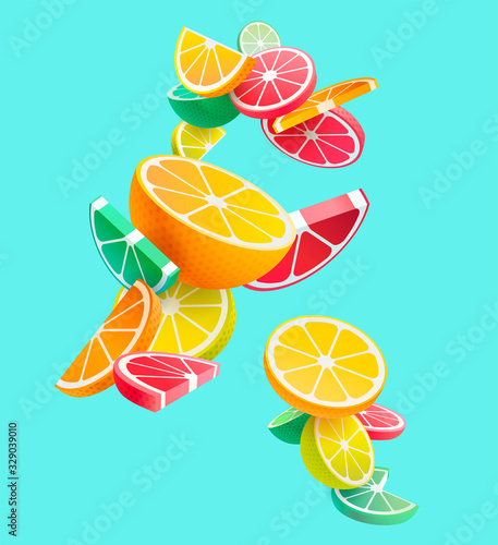 Citrus fruits composition. Vector styling.