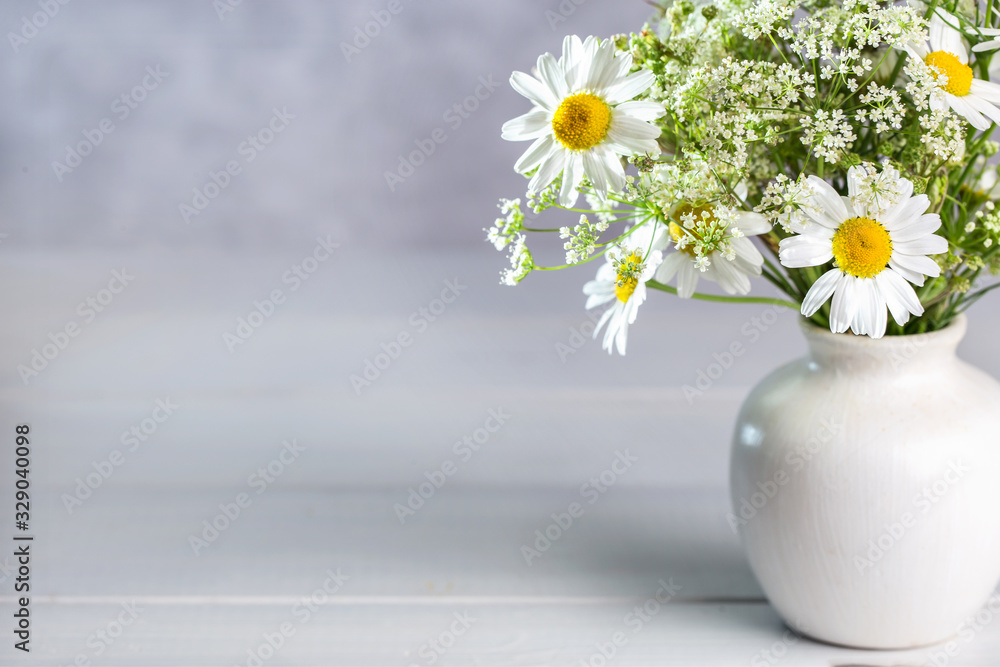 custom made wallpaper toronto digitalImage with daisies.