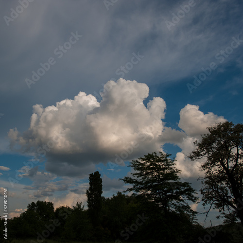 White cloud on a background of dark forest and evening sky in the countryside.