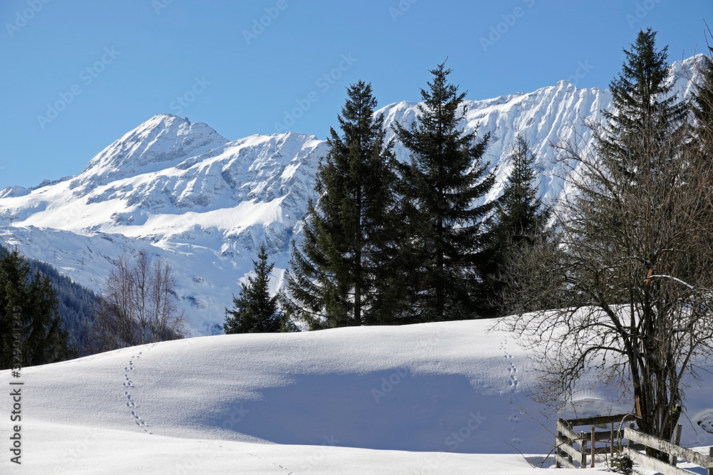 deep snow, sunshine and beautiful view to the alps in the hohe tauern national park in austria