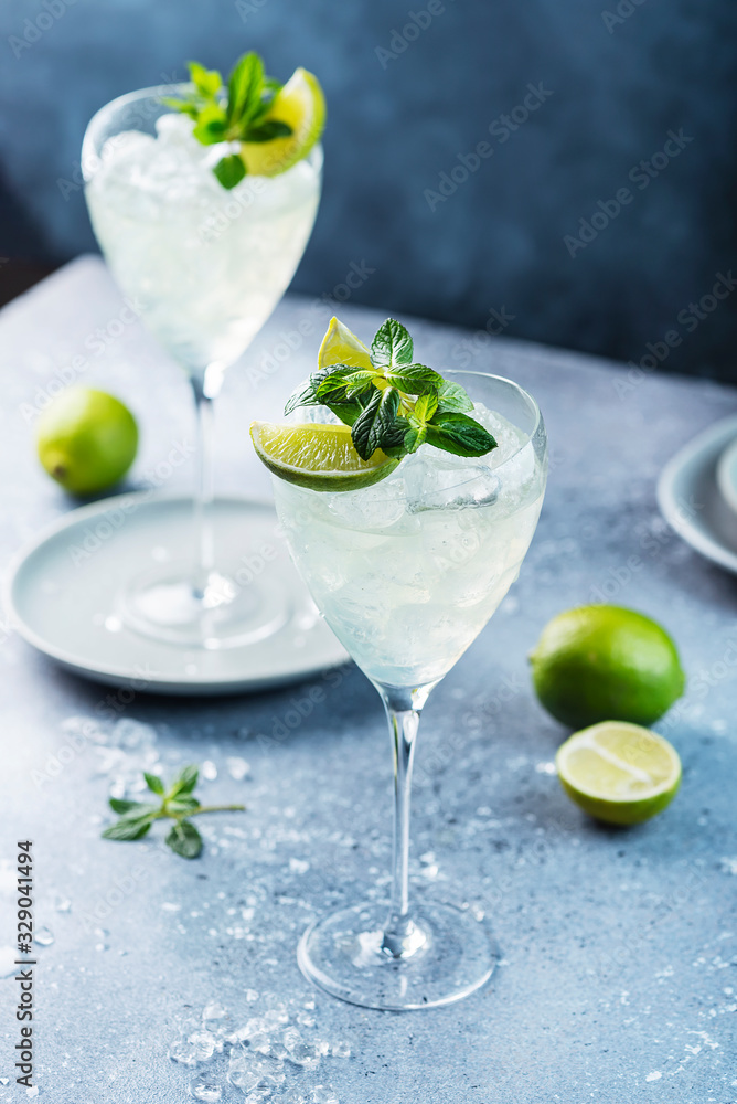 Summer cocktail mojito