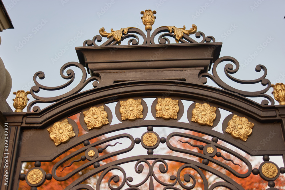 Ironwork ornamented metal gates. Close up.