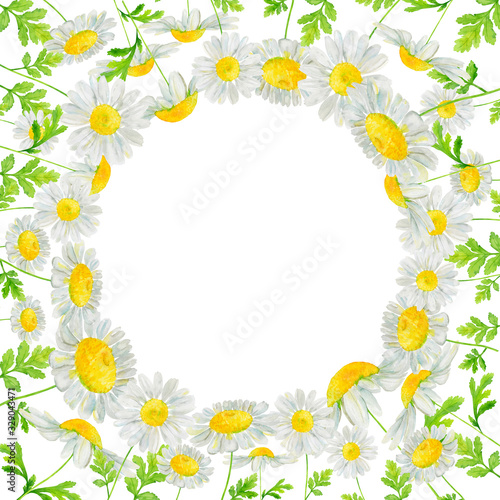 Watercolor hand drawn round frame with wild meadow flower chamomile isolated on white background. Good for summer design, background, card, poster, print etc.