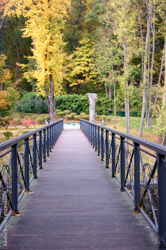 Fototapeta premium Bridge in a park, perspective view. Wooden floor, metal railing.