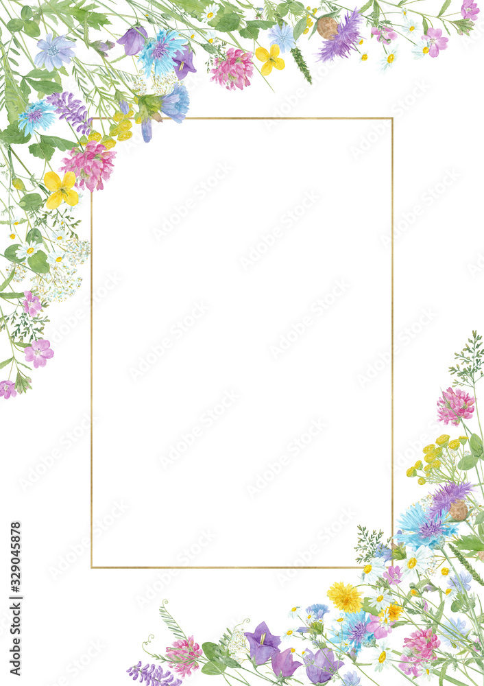 Watercolor hand drawn floral summer composition with  wild meadow flowers (clover, cornflower, tansy, cow vetch, chamomile, chicory) and gold frame with copy space isolated on white background