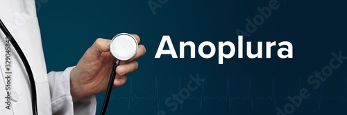 Anoplura. Arzt im Kittel hält Stethoskop. Das Wort Anoplura steht daneben. Symbol für Medizin, Krankheit, Gesundheit photo