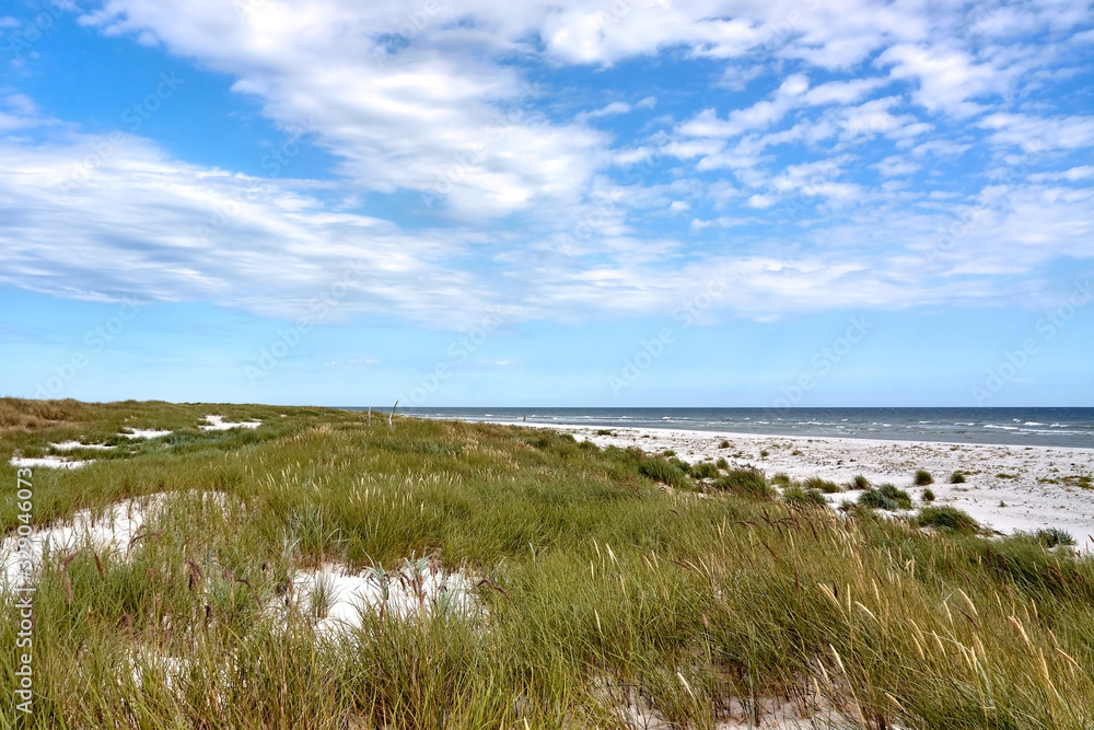 Baltic Sea beach by the sand dunes in Dueodde, Bornholm island, Denmark, Baltic Sea beach by the sand dunes in Dueodde, Bornholm island, Denmark,