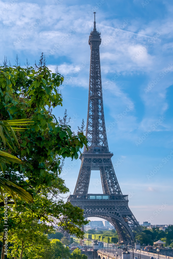 Eiffel Tower and Green Trees