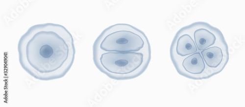 Cell stem isolated on white background. Vector reproduction conception. 3d dna nucleus particles patern..