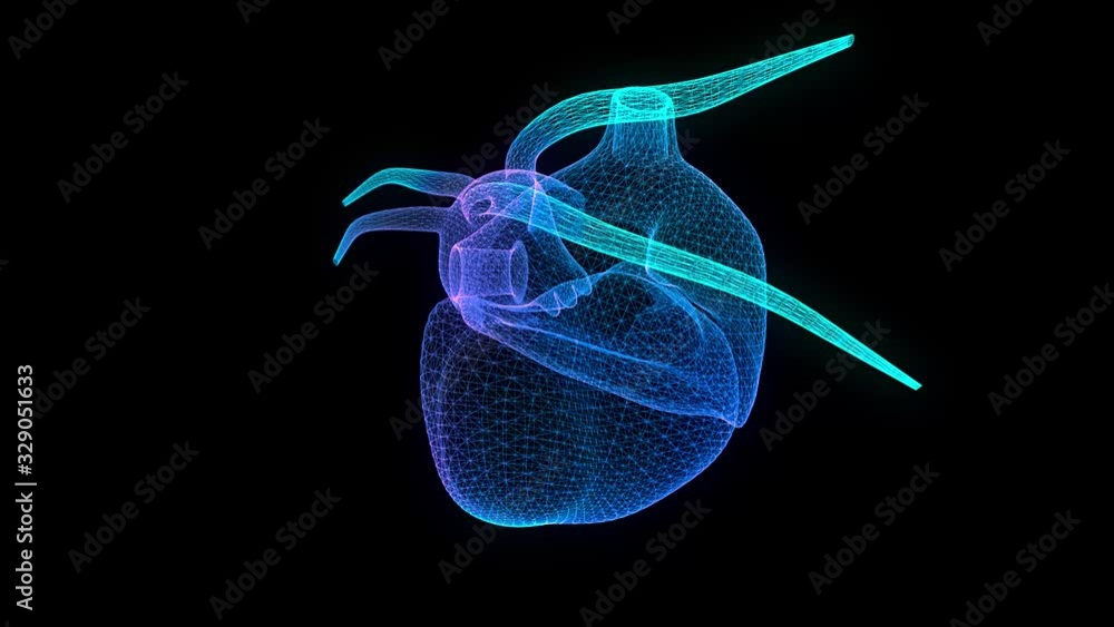 Motion animation of human heart. Digital technology visualization of 3d ...