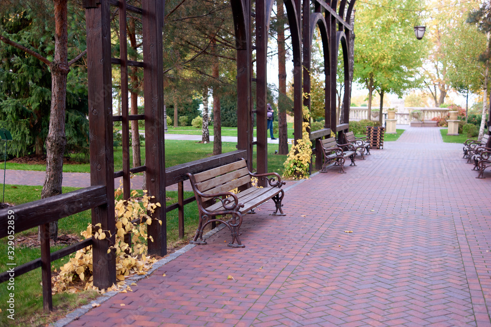 Empty wooden benches in a park. Cobblestone walkway floor.