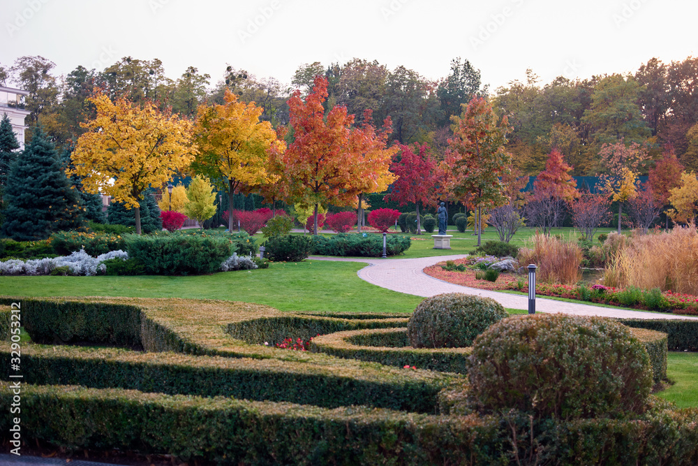 Empty autumn park landscape. Well-groomed bushes and colorful trees.