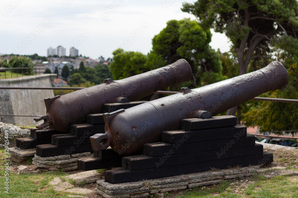 2 vieux canons en croatie 